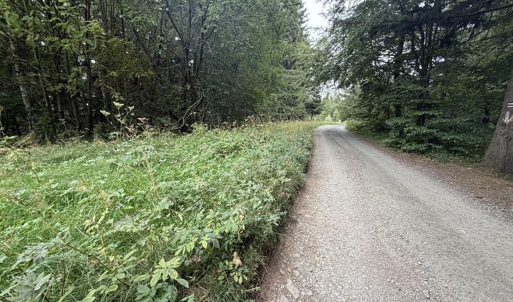 Prodej pozemku 1 194 m², Hutisko-Solanec – náhled fotky 15