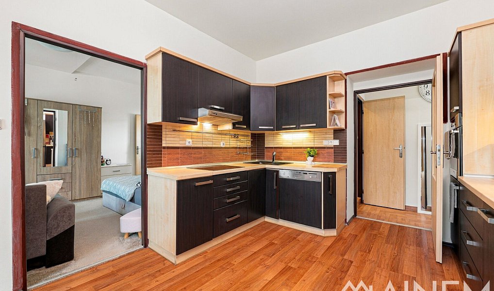 Prodej bytu 1+1 49 m², Plzeň – náhled fotky 2