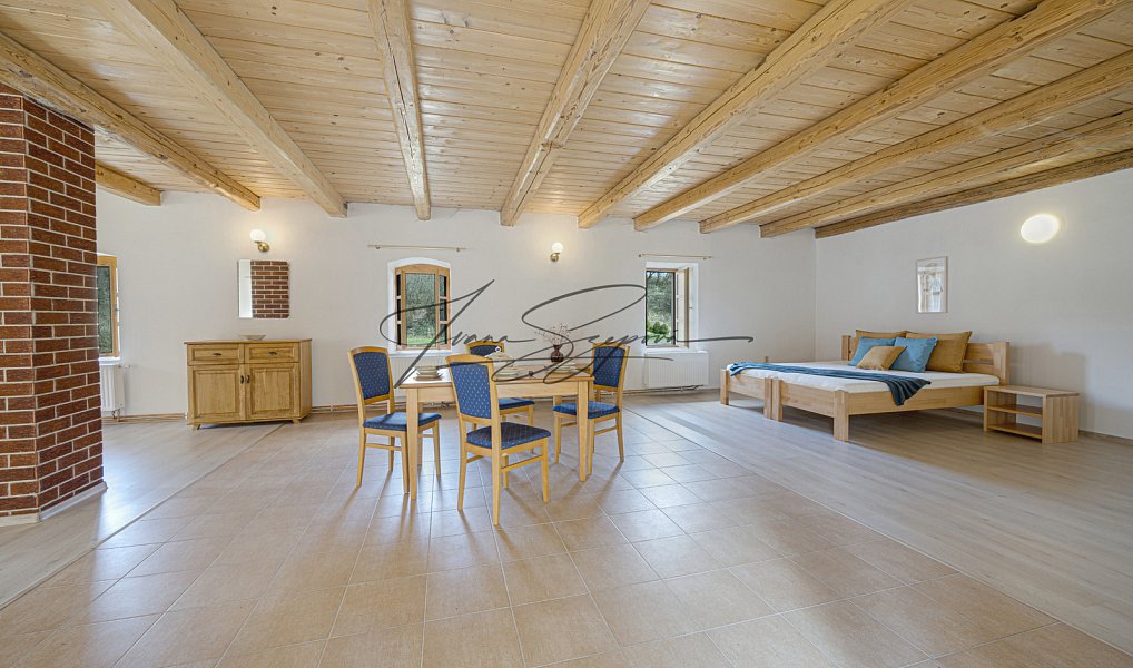 Prodej domu 594 m² s pozemkem 13 331 m², Olešná – náhled fotky 42