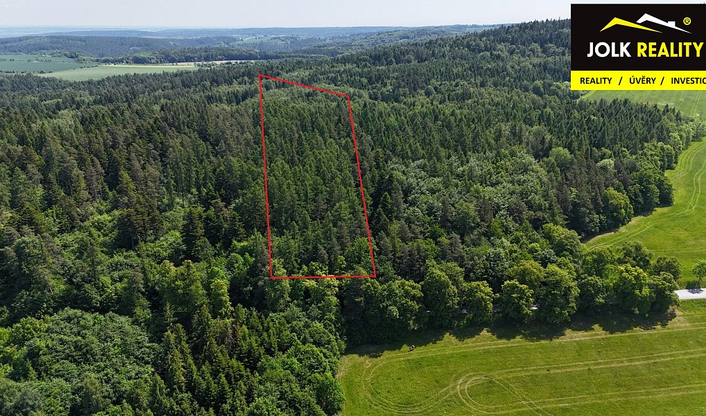 Prodej lesa 13 182 m², Vršovice – náhled fotky 3