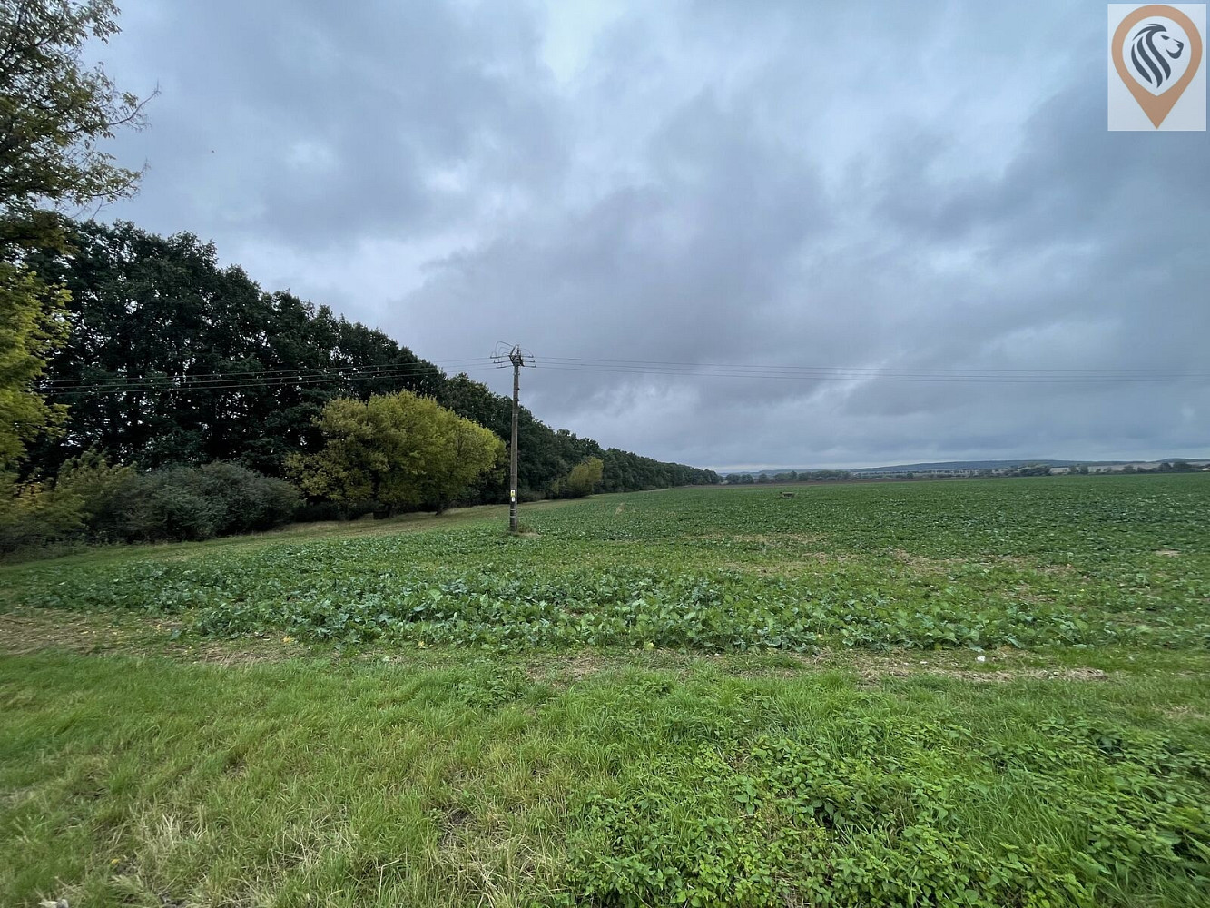Prodej pole 7 001 m² – fotografie 3