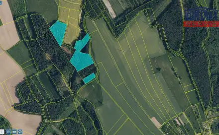 Prodej lesa 30 767 m², Sychrov - Radostín, okres Liberec