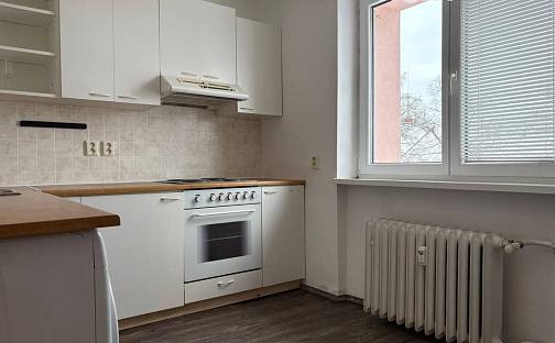 Pronájem bytu 1+1 29 m², Hornická, Stochov, okres Kladno