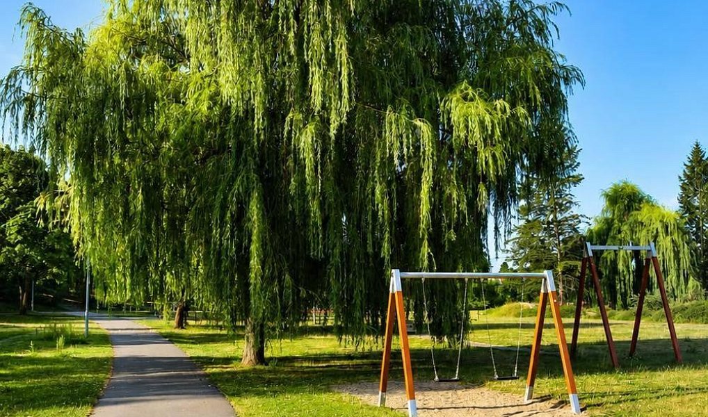 Prodej bytu 2+kk 71 m², Bakov nad Jizerou – náhled fotky 14