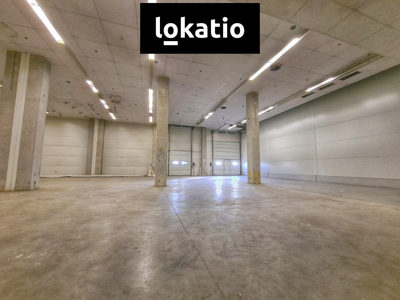 Pronájem skladovacích prostor 1 579 m² — photo 4