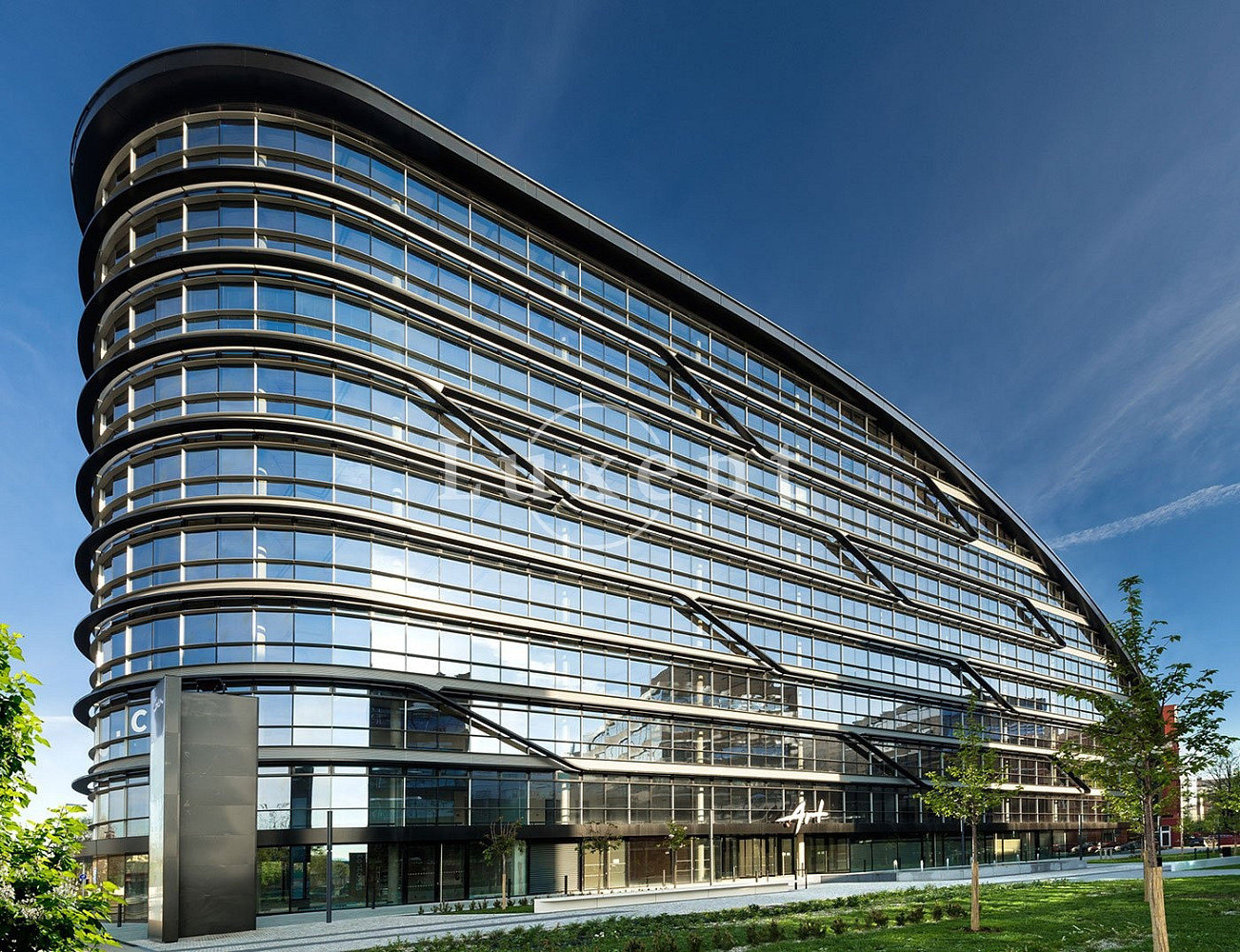 Pronájem kanceláře 187 m² – fotografie 5