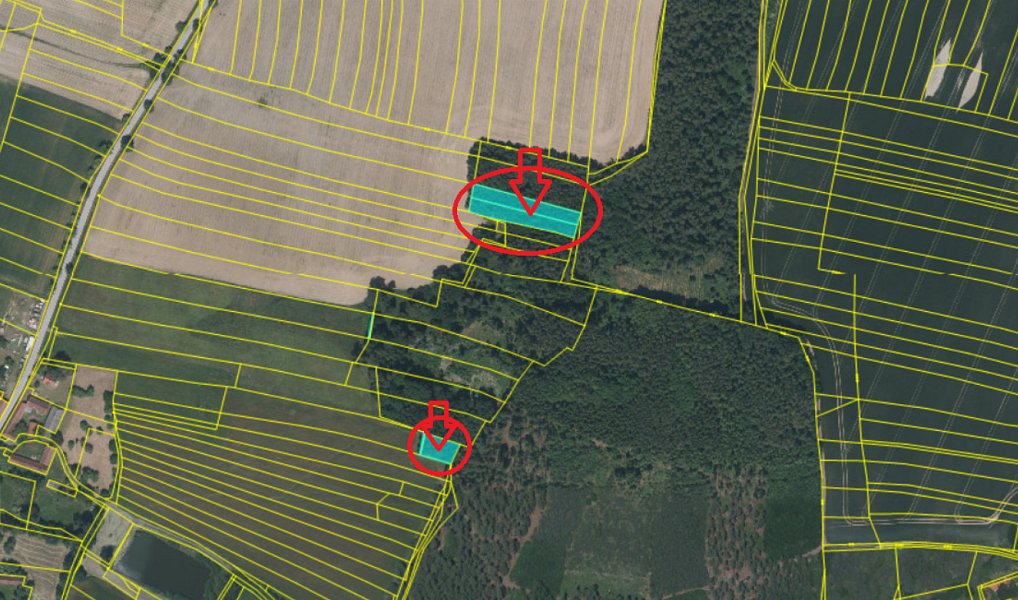 Prodej lesa 2 788 m², Chrášťany – náhled fotky 14