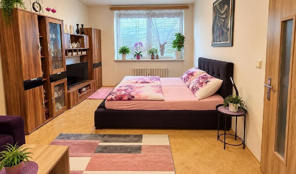 Prodej bytu 1+1 49 m², Osek nad Bečvou – náhled fotky 4