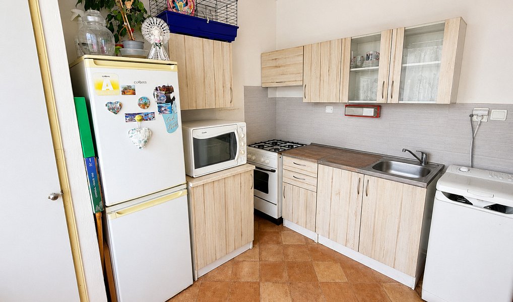 Prodej bytu 1+1 45 m², Brno – náhled fotky 5