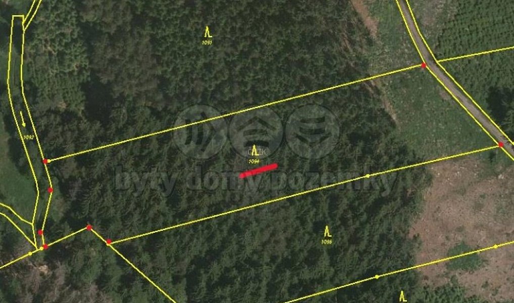 Prodej lesa 30 934 m², Ratibořské Hory – náhled fotky 3