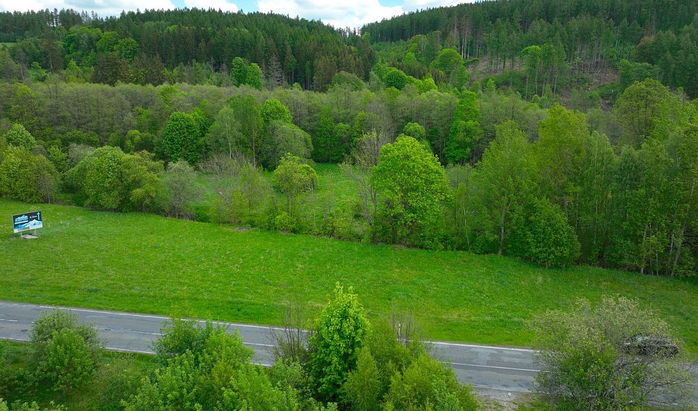 Prodej stavebního pozemku 2 000 m², Dolní Moravice – náhled fotky 4