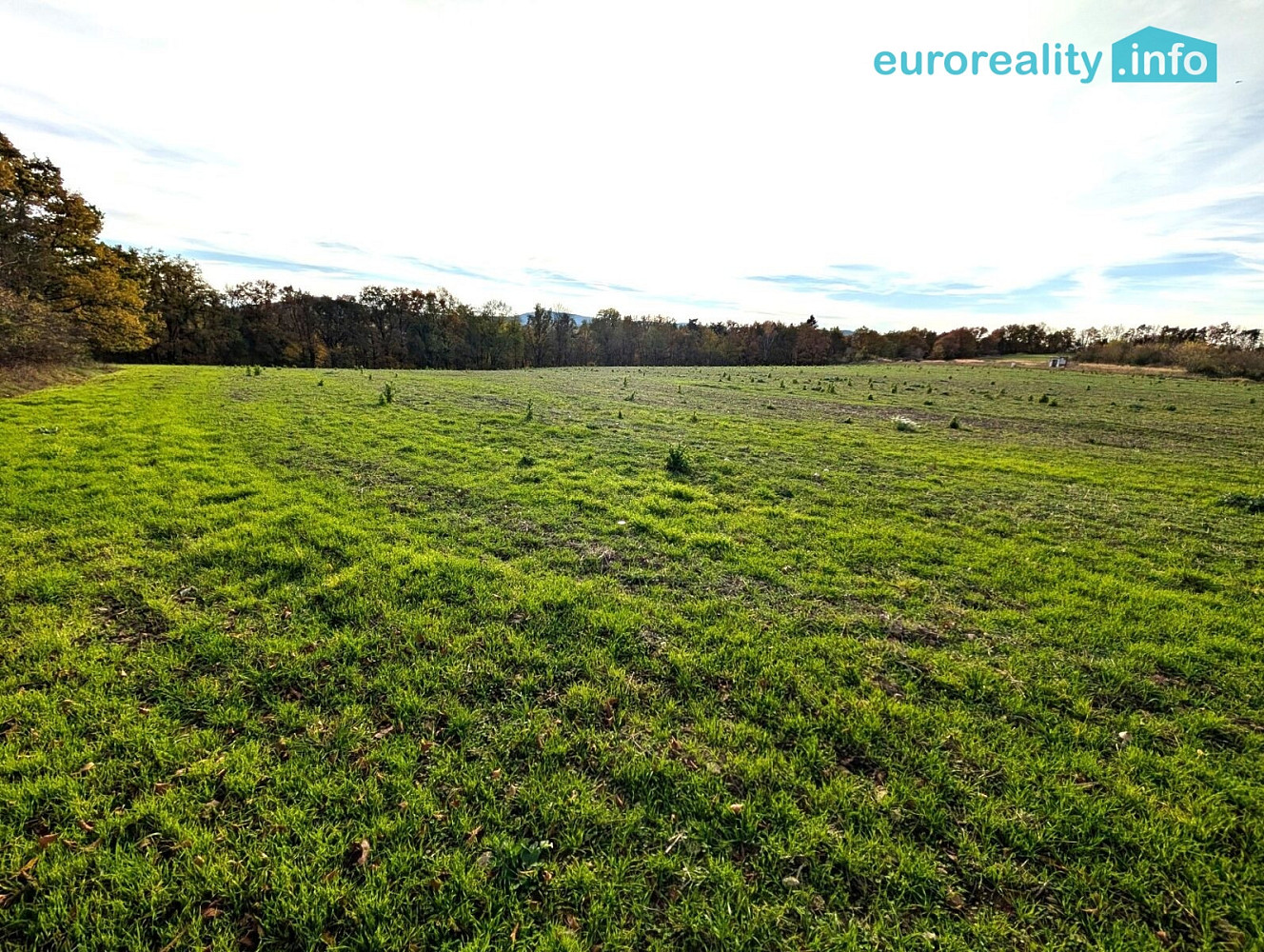 Prodej stavebního pozemku 3 986 m² – fotografie 3