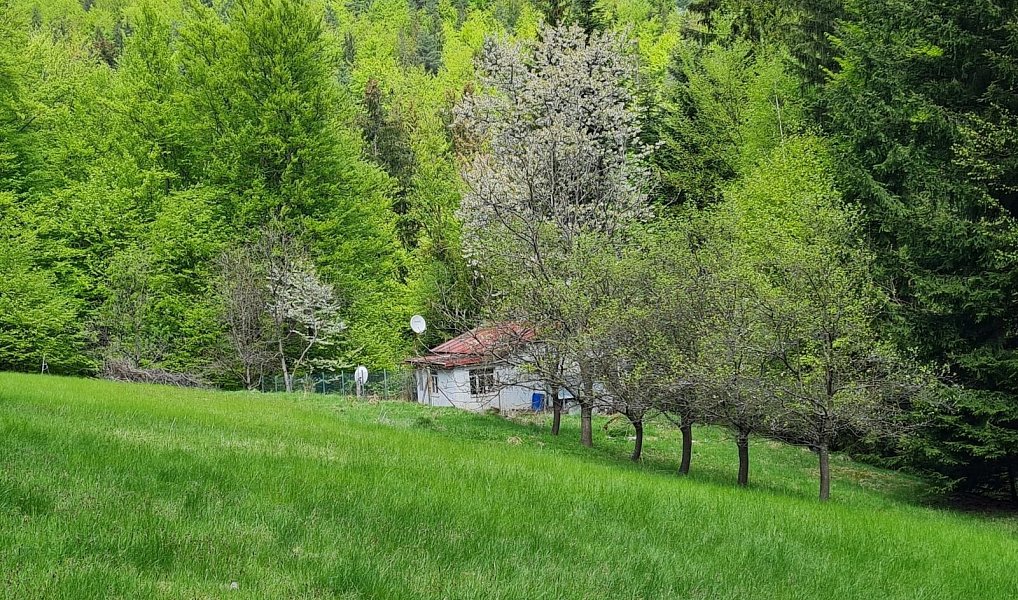 Prodej chaty/chalupy 65 m² s pozemkem 6 542 m², Prostřední Bečva – náhled fotky 21