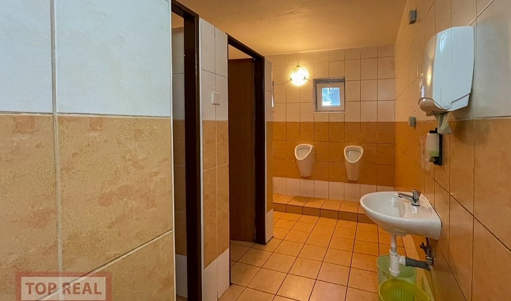 Prodej obchodních prostor 1 331 m², Koryčany – náhled fotky 13