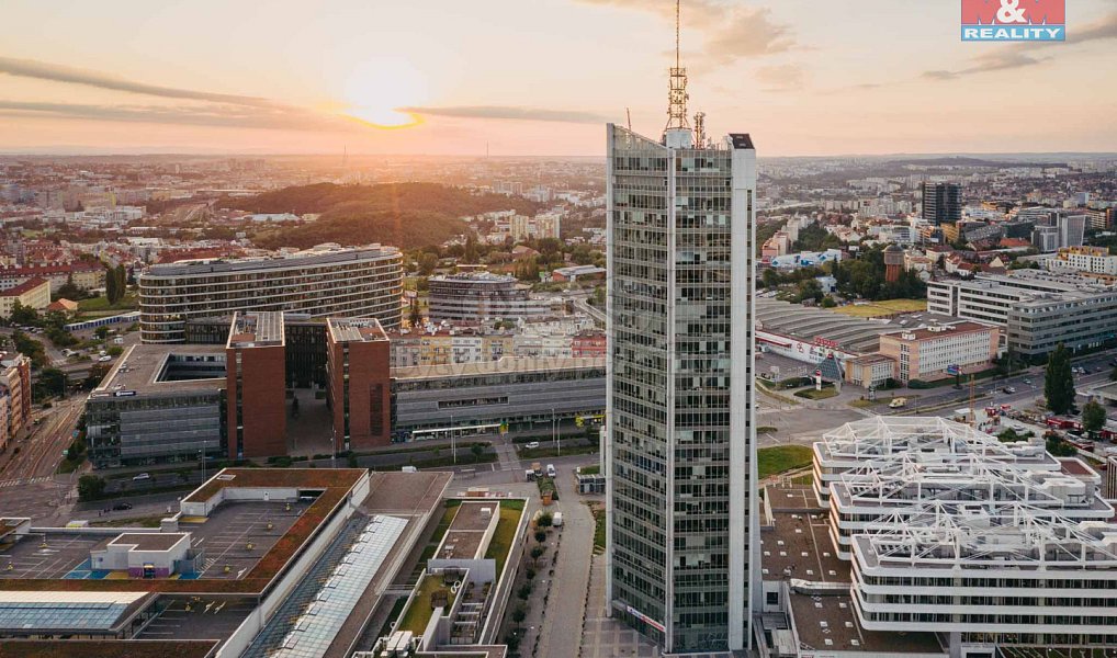 Pronájem kanceláře 268 m², Praha – náhled fotky 3