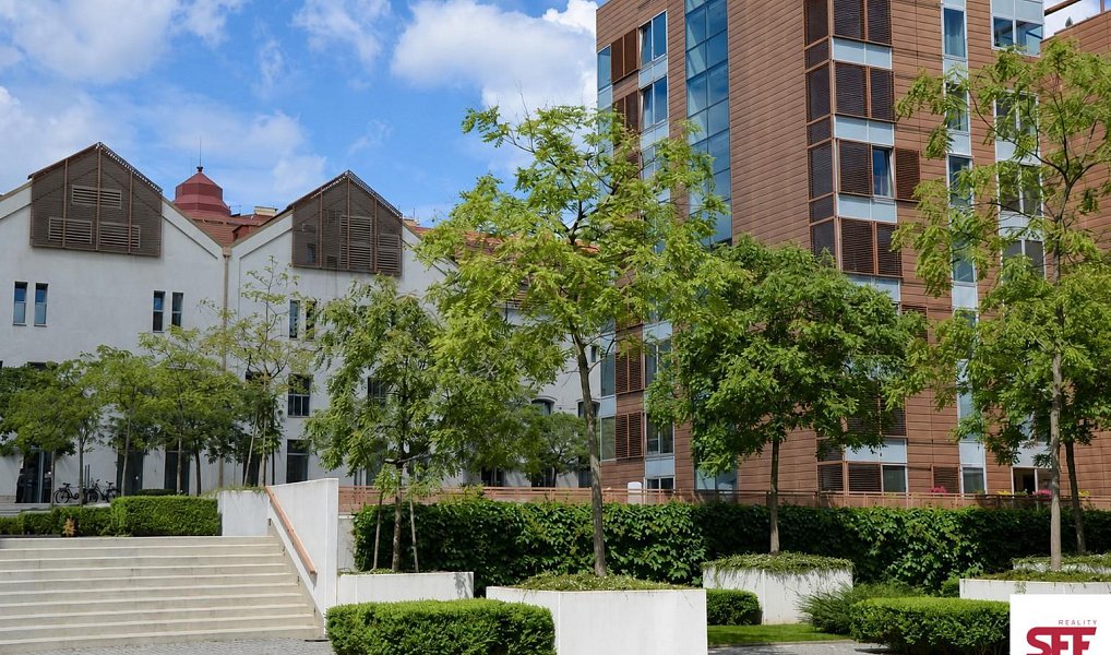Pronájem bytu 2+kk 55 m², Praha – náhled fotky 13