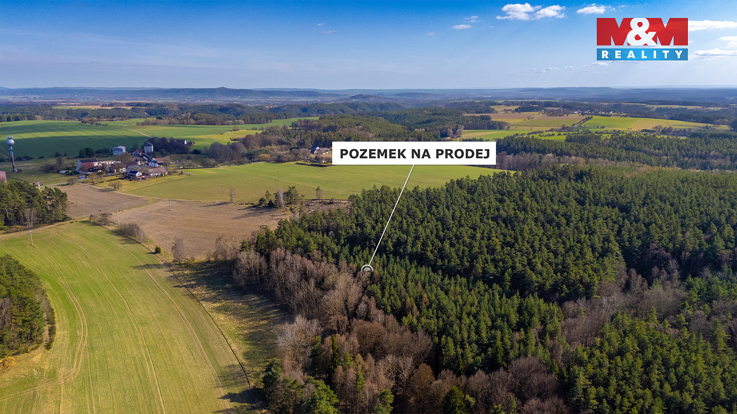 Prodej lesa 23 199 m² – fotografie 4