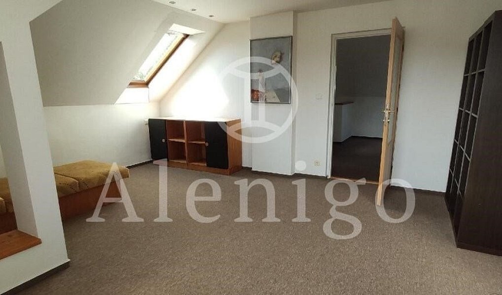 Prodej domu 275 m² s pozemkem 676 m², Praha – náhled fotky 9