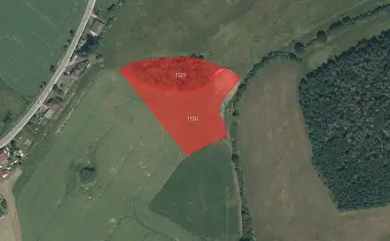 Prodej pole 9 648 m², Předenice, okres Plzeň-Jih
