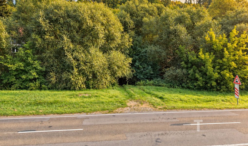 Prodej stavebního pozemku 858 m², Boskovice – náhled fotky 4
