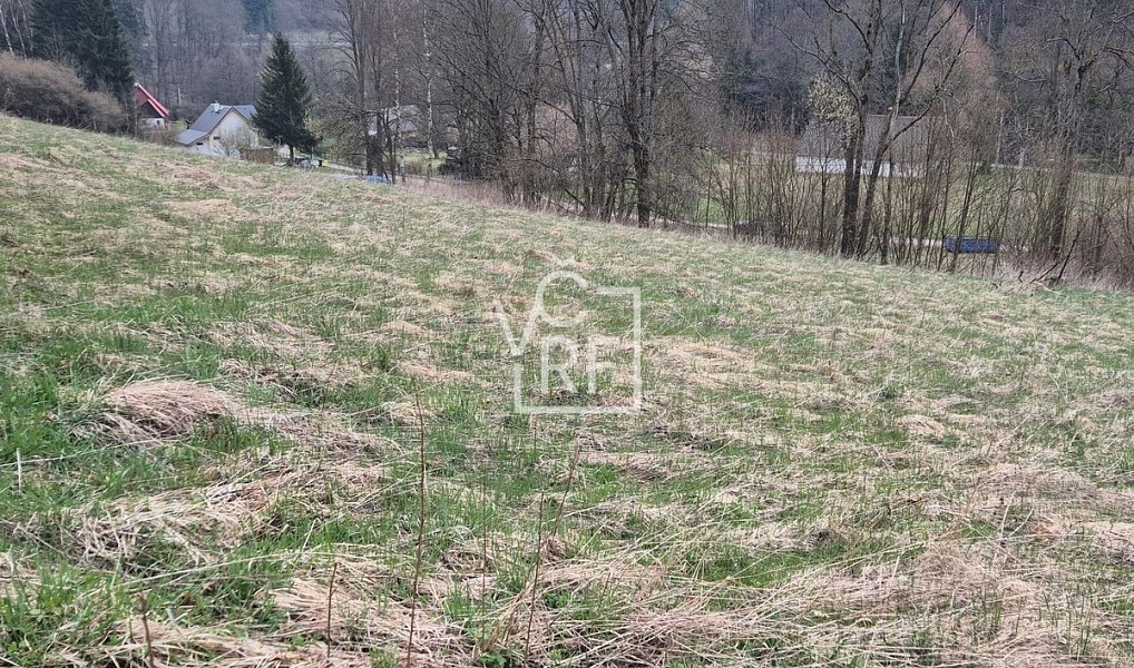 Prodej stavebního pozemku 4 647 m², Teplice nad Metují – náhled fotky 4