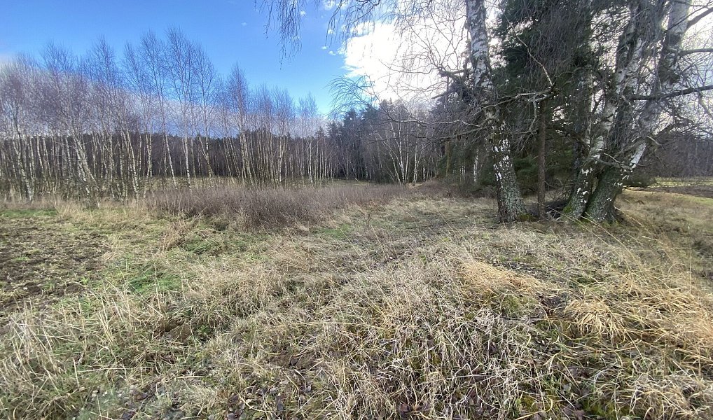 Prodej pozemku 11 526 m², Kaplice – náhled fotky 8