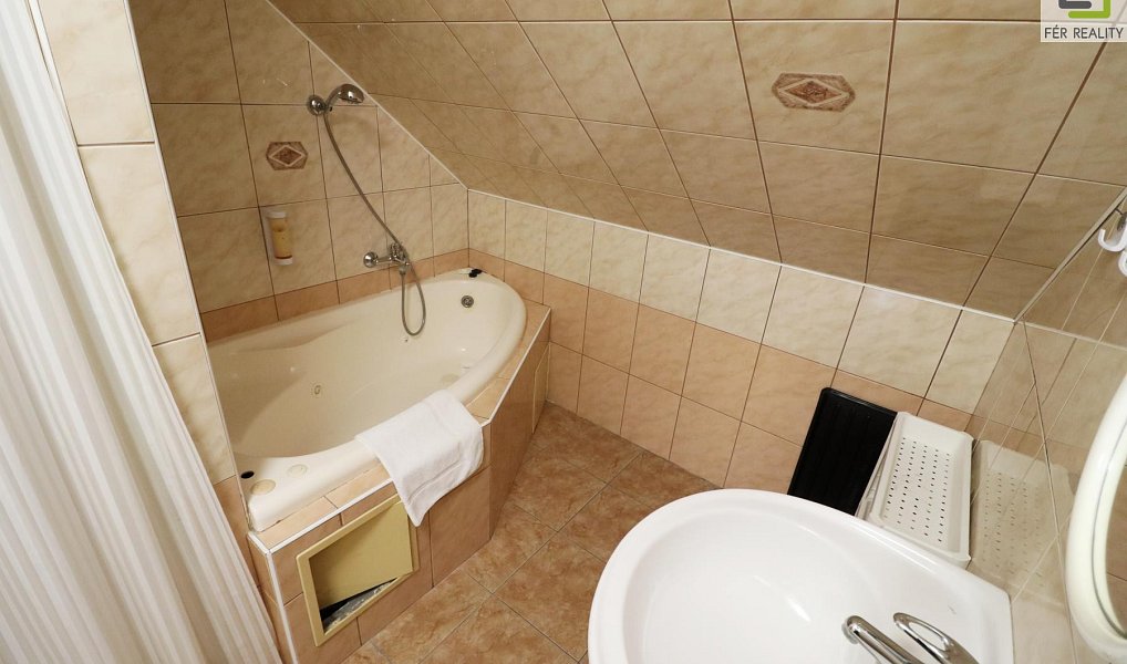 Prodej ubytovacího objektu 607 m², Vědomice – náhled fotky 15