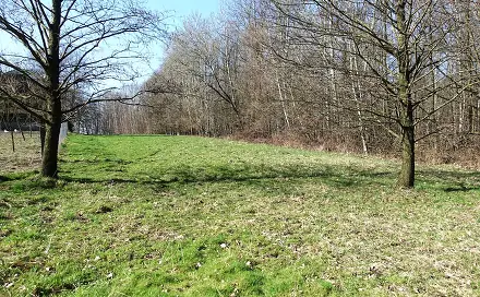 Prodej louky 6 013 m², Sokolská, Bohumín, okres Karviná