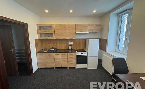 Pronájem bytu 1+kk 35 m², Světlá nad Sázavou, okres Havlíčkův Brod