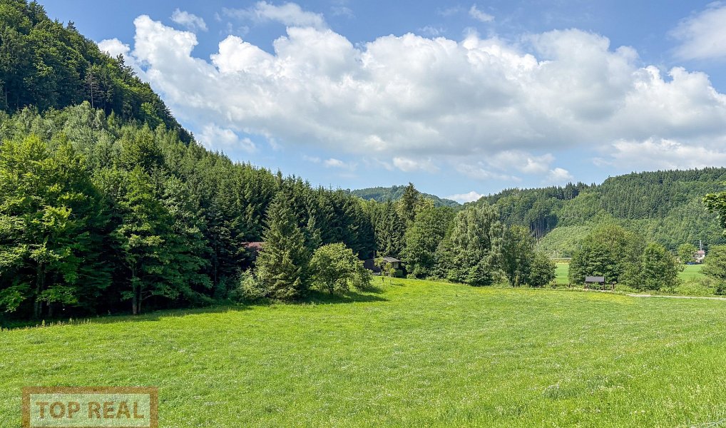 Prodej domu 167 m² s pozemkem 706 m², Orlické Podhůří – náhled fotky 31