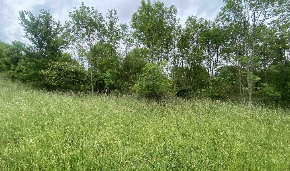 Prodej pole 12 772 m², Třebívlice – náhled fotky 3