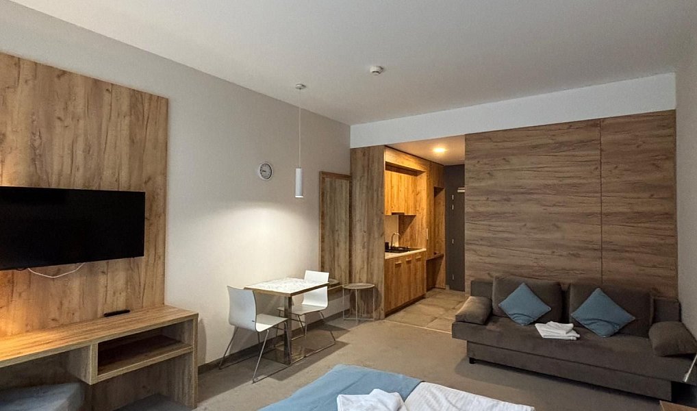 Prodej bytu 1+kk 29 m², Dolní Morava – náhled fotky 4