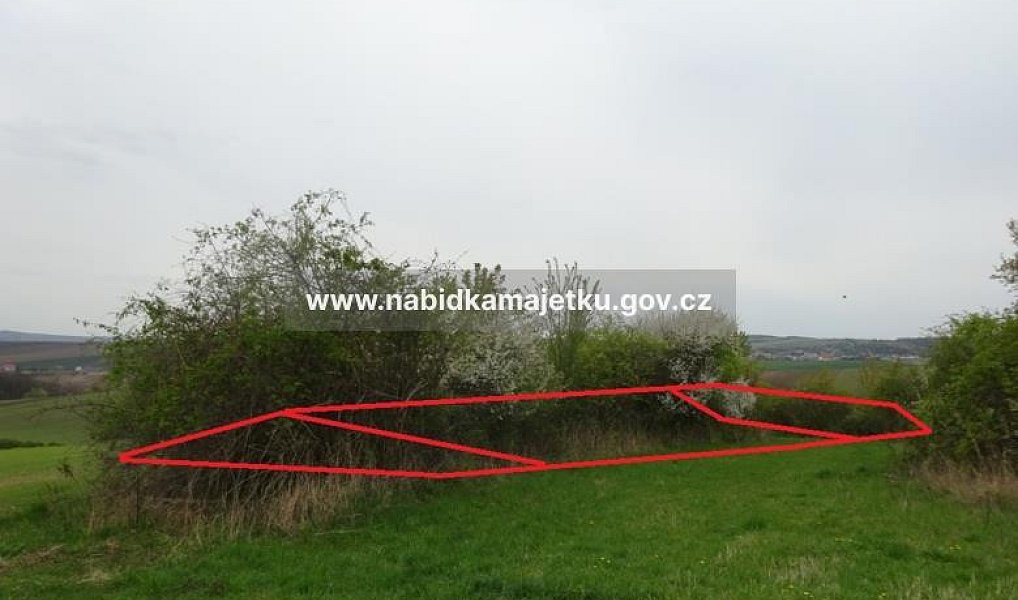 Prodej pole 918 m², Klobouky u Brna – náhled fotky 2