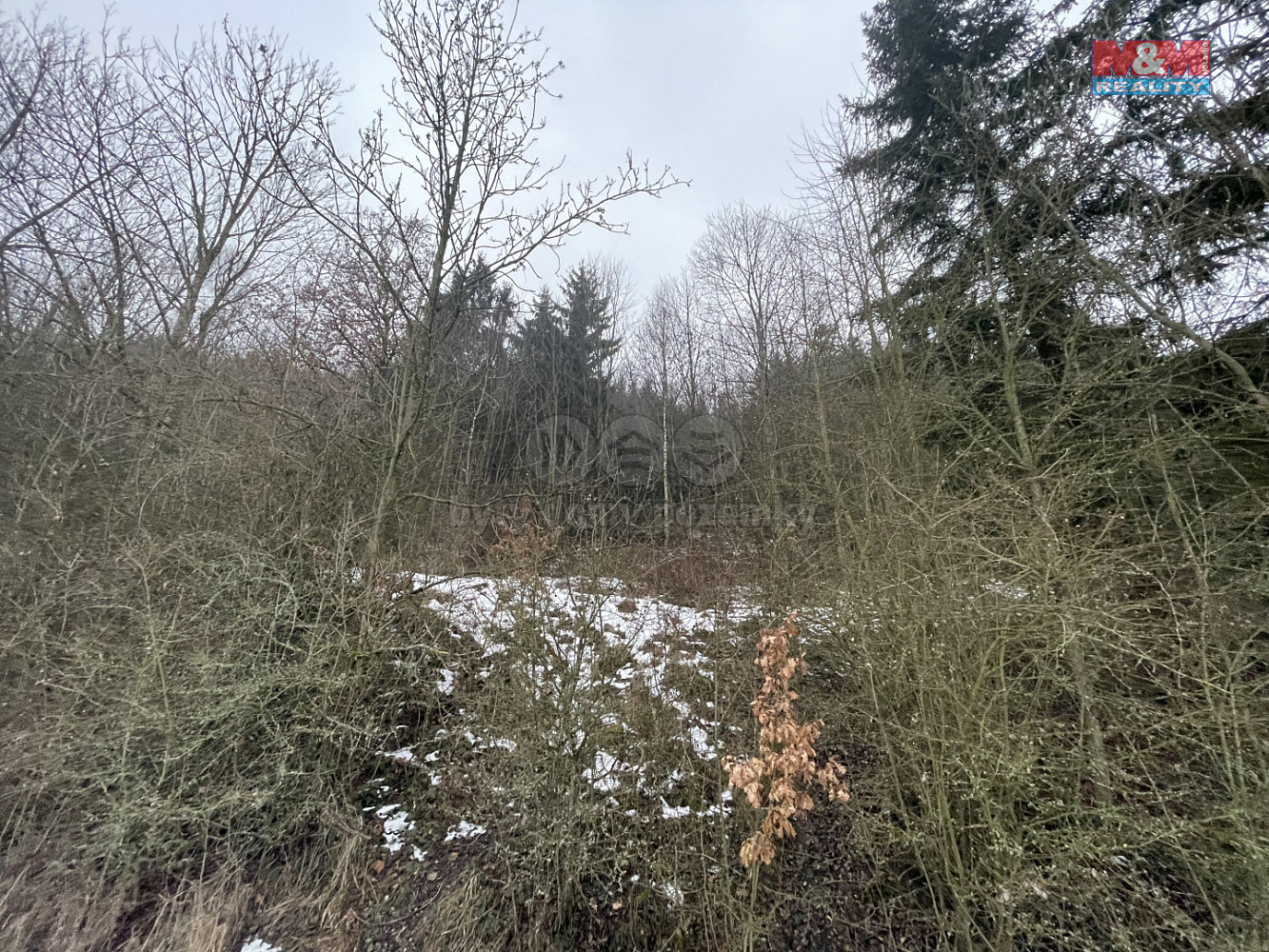 Prodej lesa 89 634 m² – fotografie 4