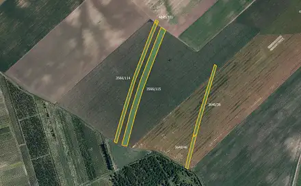 Prodej pole 63 840 m², Nový Poddvorov, okres Hodonín