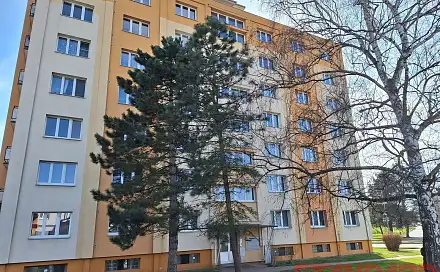 Pronájem bytu 3+1 71 m², Palackého, Přeštice, okres Plzeň-Jih