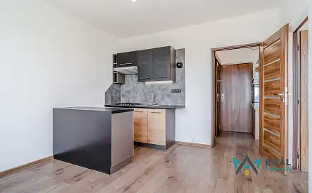 Pronájem bytu 1+1 35 m², SNP, Ústí nad Labem - Ústí nad Labem-centrum