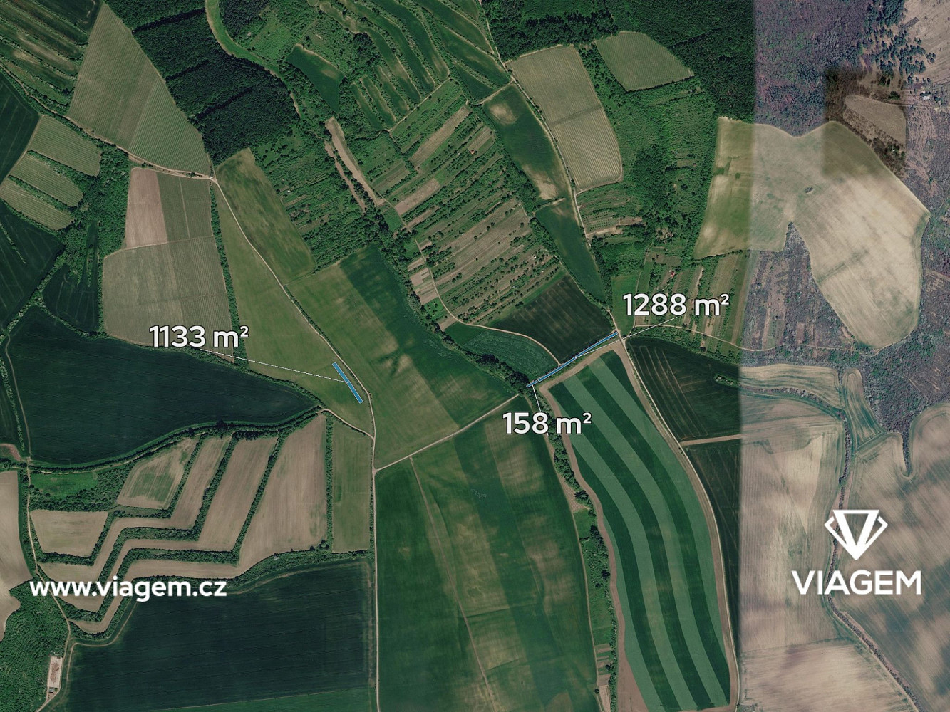 Prodej pole 1 289 m² – fotografie 2