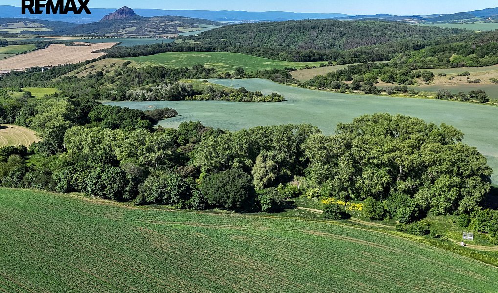Prodej lesa 5 841 m², Skršín – náhled fotky 23