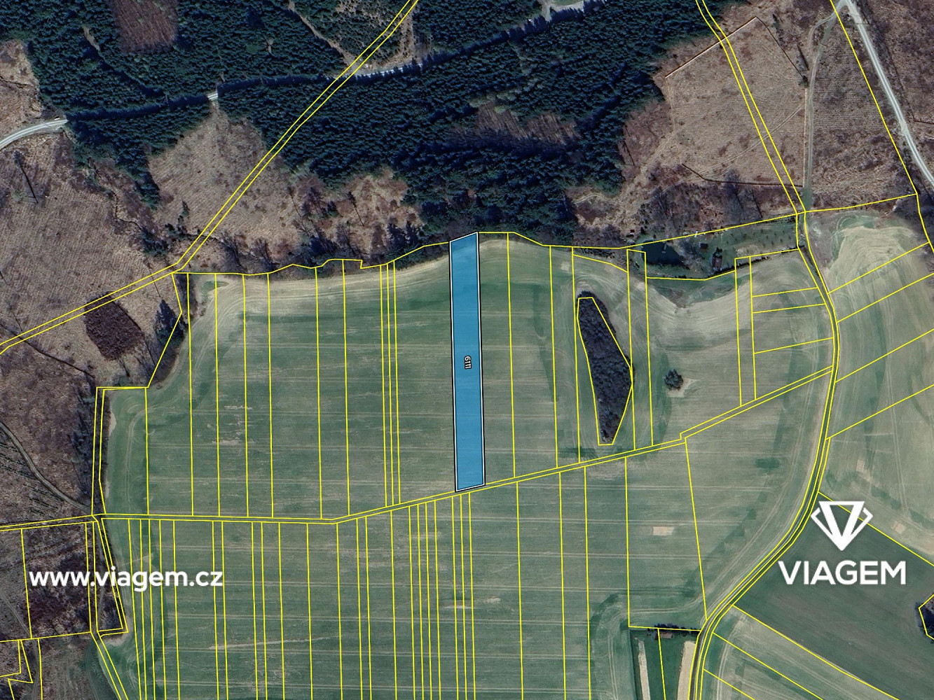 Prodej pole 2 517 m² – fotografie 4