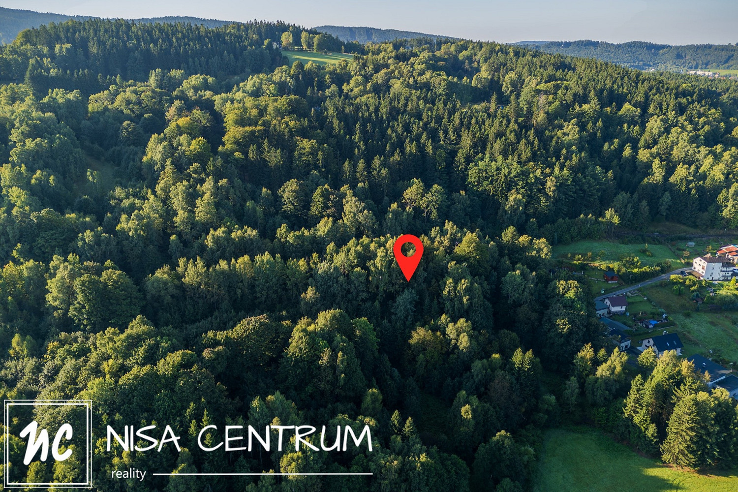 Prodej lesa 5 031 m² – pohled 6