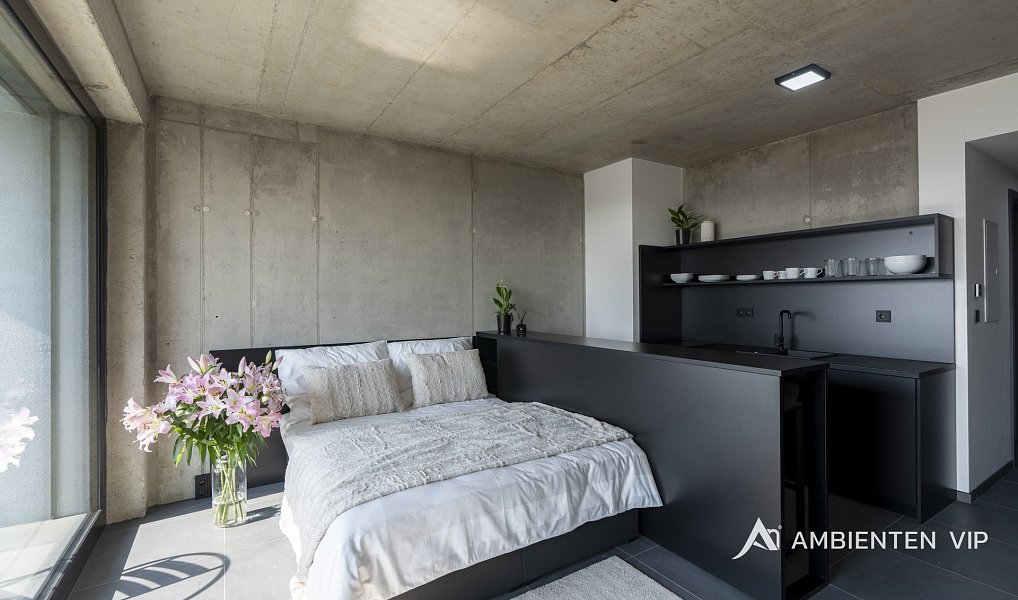 Pronájem bytu 1+kk 35 m², Brno – náhled fotky 7