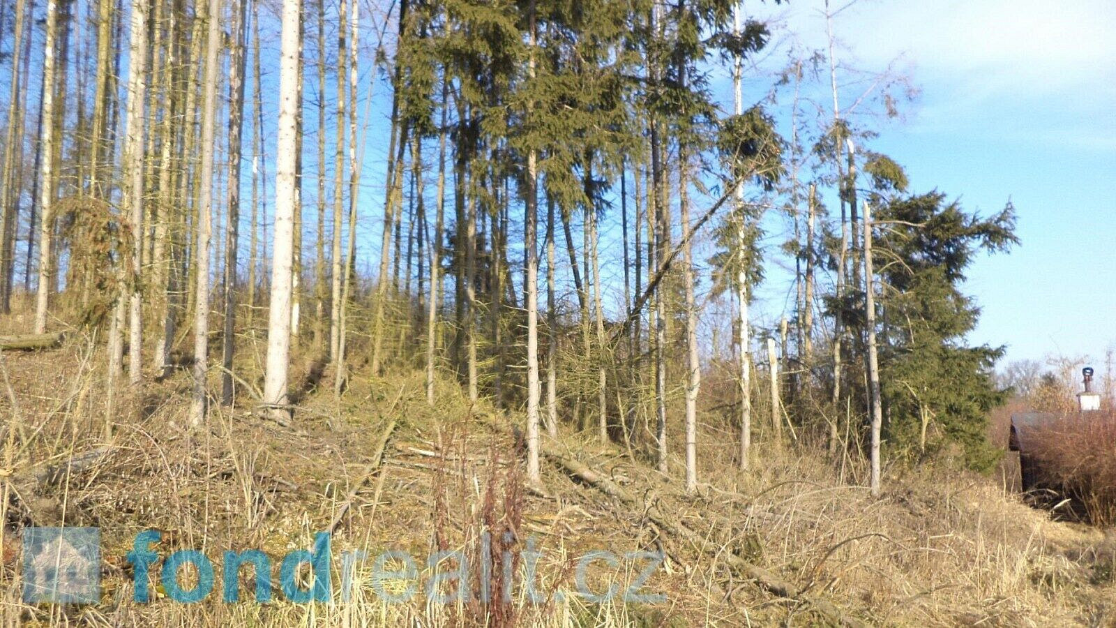 Prodej pozemku 1 595 m² – fotografie 2