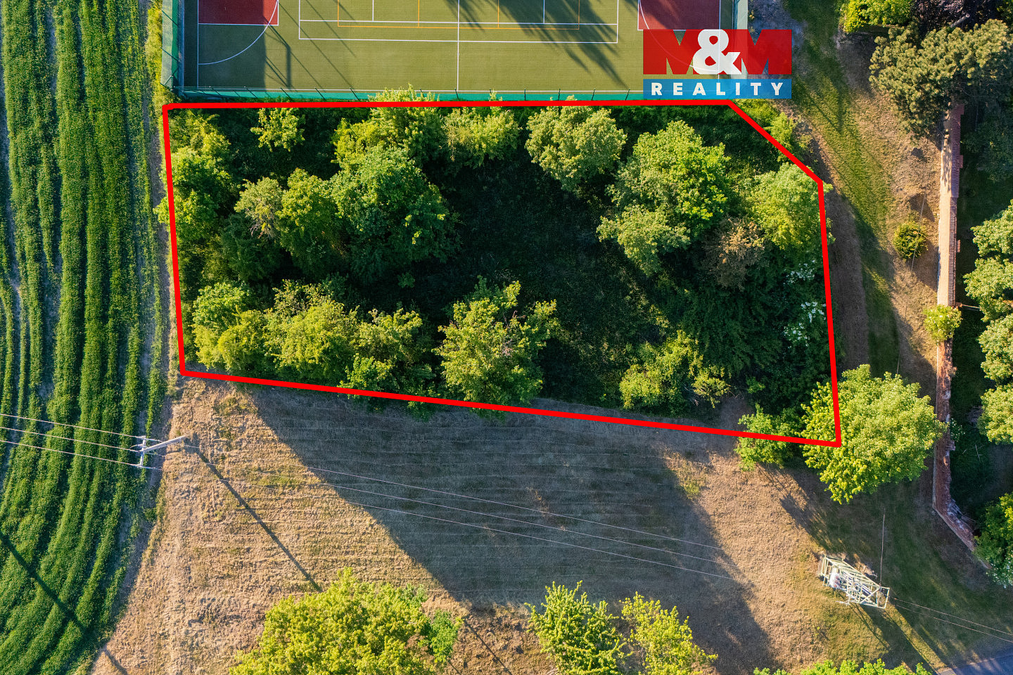 Prodej zahrady 1 290 m² – fotografie 2
