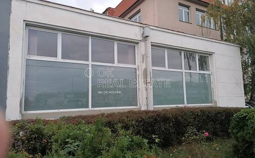 Pronájem obchodních prostor 149 m², Ovčárecká, Kolín - Kolín V
