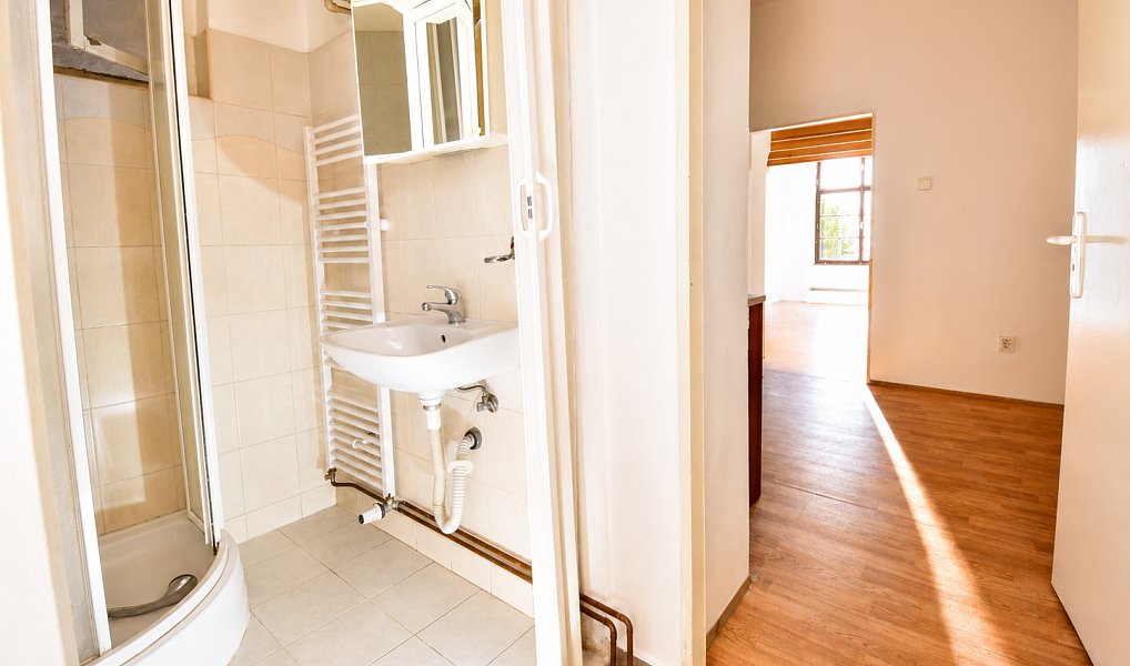 Pronájem bytu 1+1 38 m², Praha – náhled fotky 4