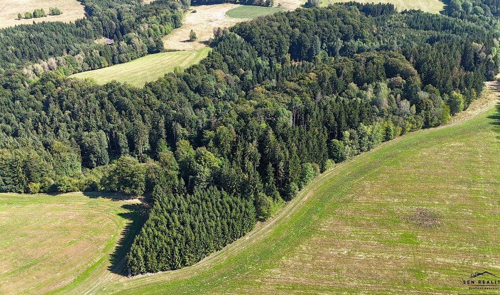 Prodej lesa 9 005 m², Liberk – náhled fotky 2