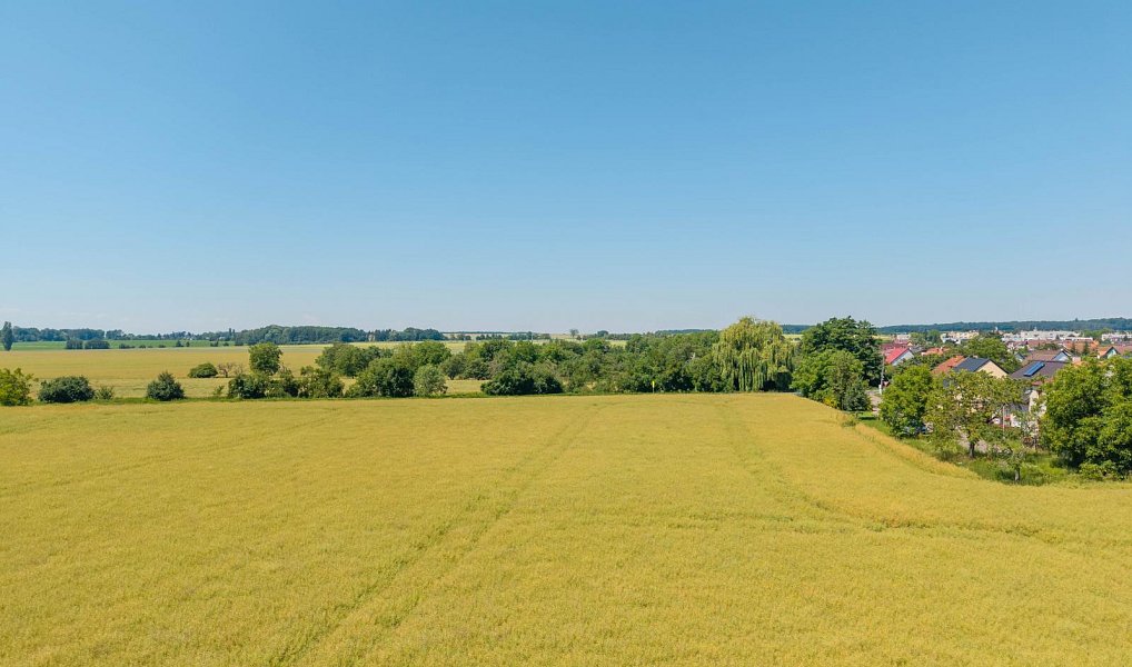 Prodej stavebního pozemku 14 692 m², Stěžery – náhled fotky 7