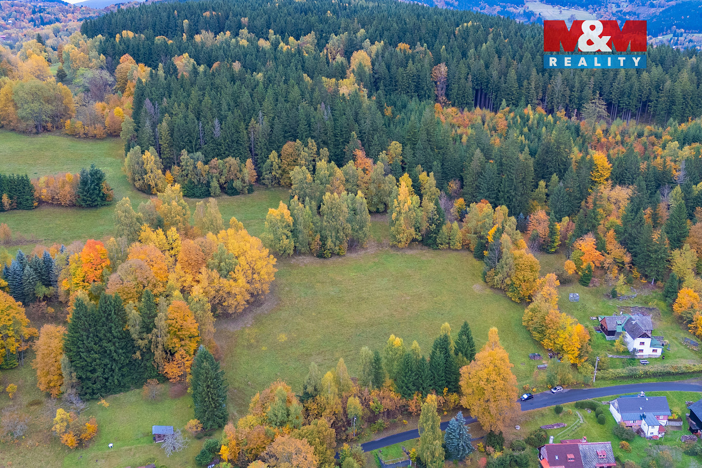 Prodej louky 2 029 m² — photo 4