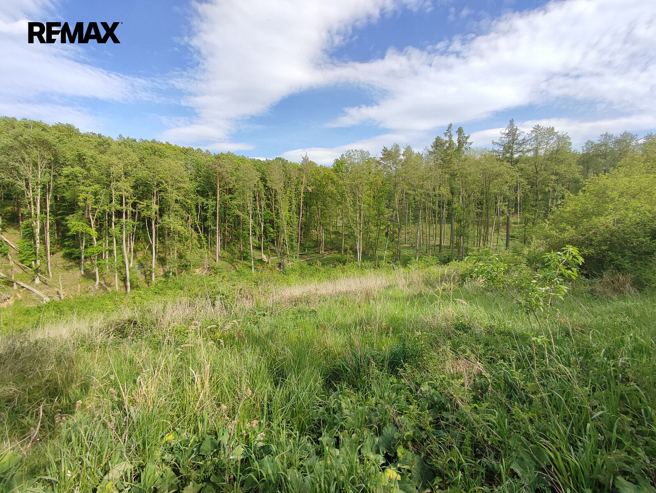 Prodej lesa 17 681 m²